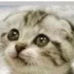 Meet your Posher, Steve & beth